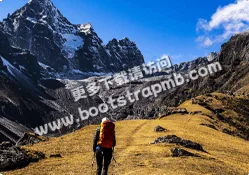 掌握最新体育资讯 - 6686体育baoyihua